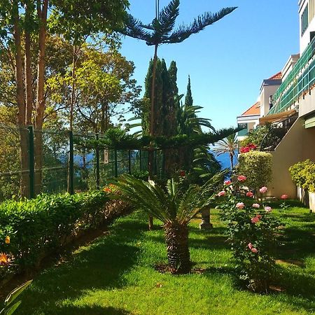 Beach Flat - Apartamento Praia Doca Do Cavacas Фуншал Екстер'єр фото